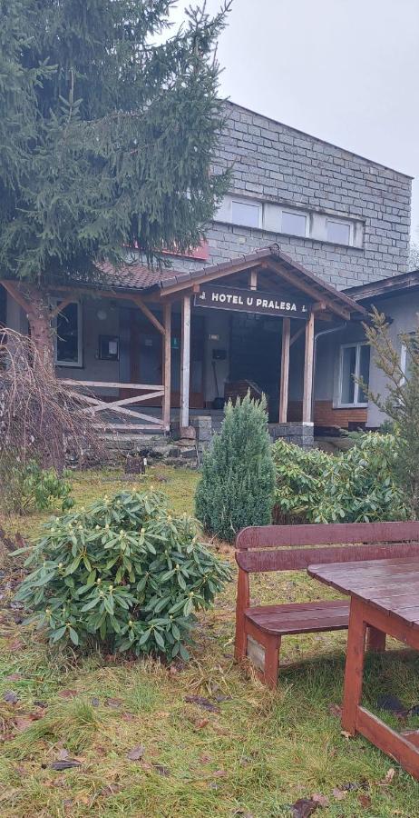 Apartmán NOVOHRADKY 22 Benesov nad Cernou Exteriér fotografie
