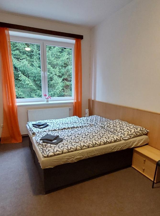 Apartmán NOVOHRADKY 22 Benesov nad Cernou Exteriér fotografie