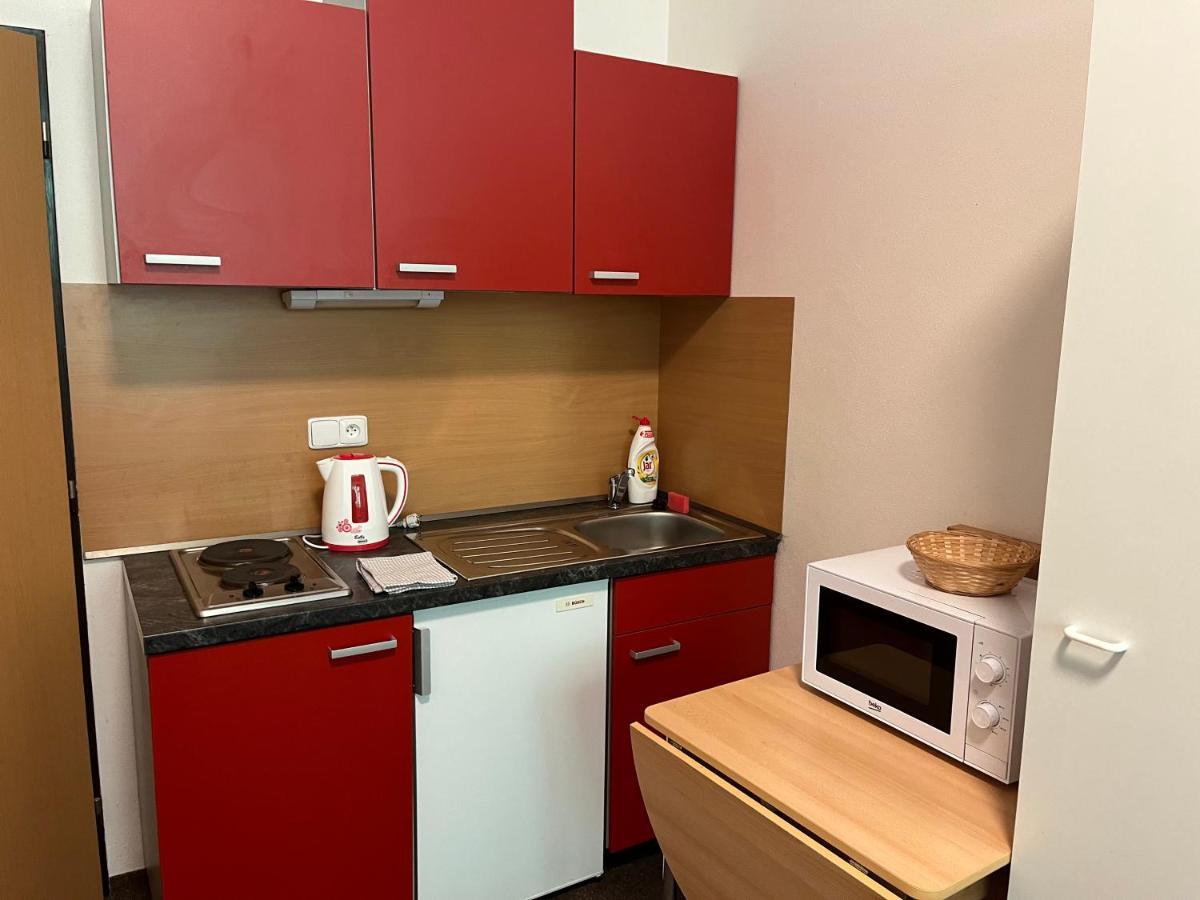Apartmán NOVOHRADKY 22 Benesov nad Cernou Exteriér fotografie