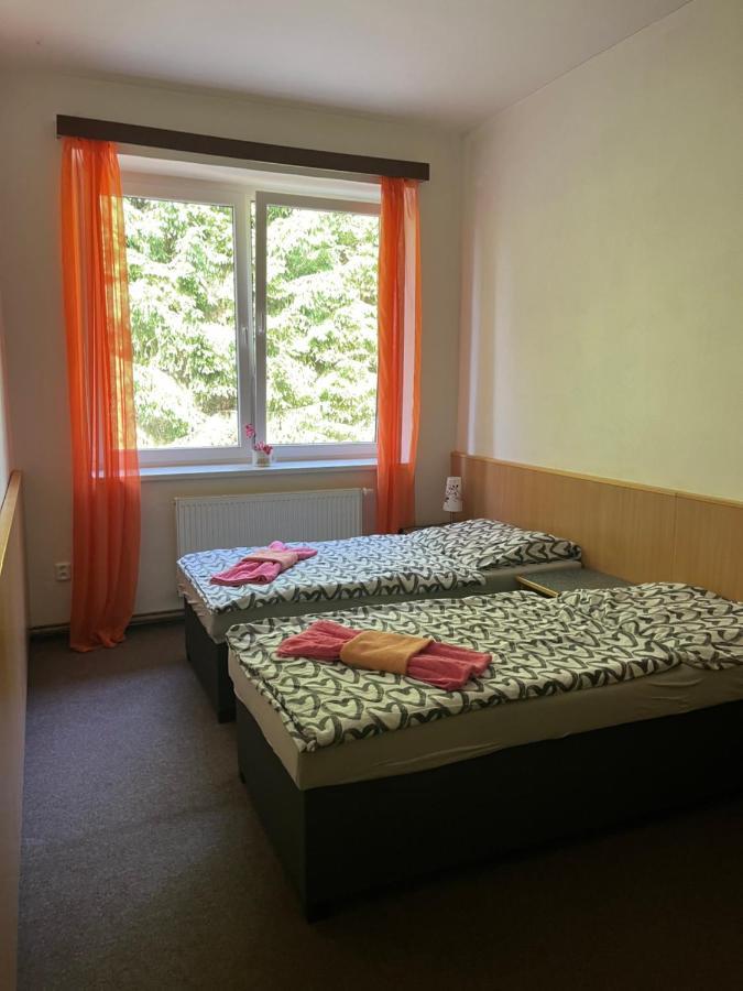 Apartmán NOVOHRADKY 22 Benesov nad Cernou Exteriér fotografie