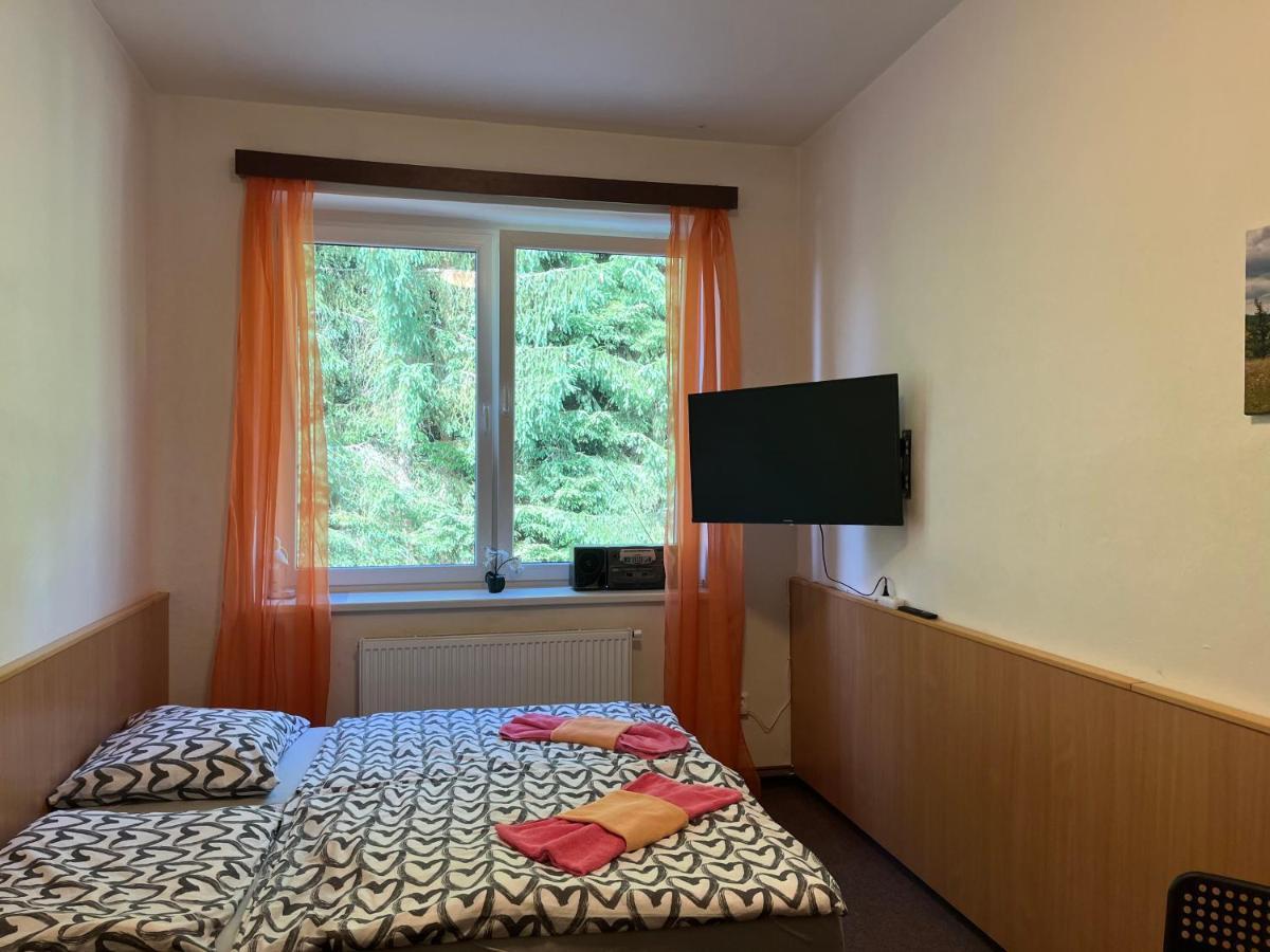 Apartmán NOVOHRADKY 22 Benesov nad Cernou Exteriér fotografie