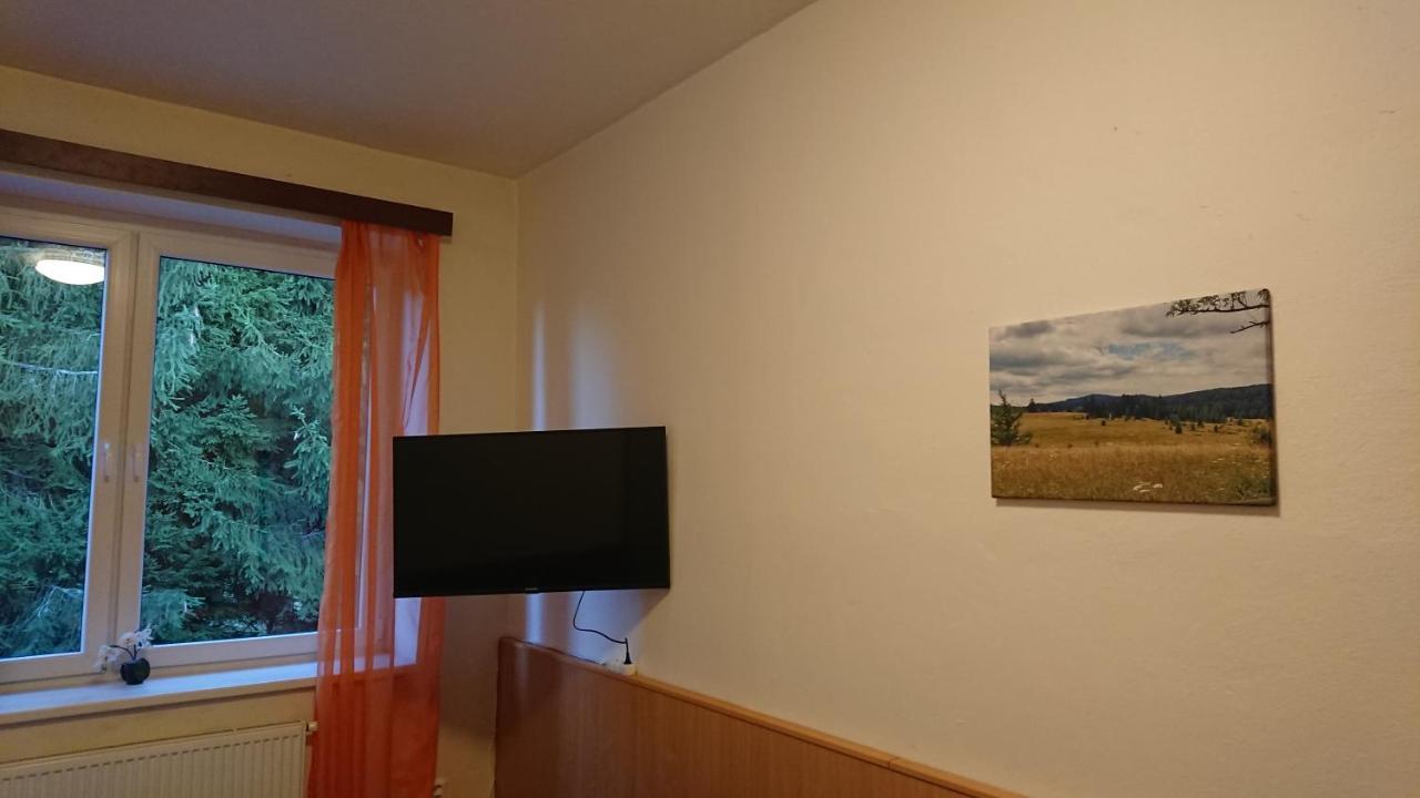 Apartmán NOVOHRADKY 22 Benesov nad Cernou Exteriér fotografie