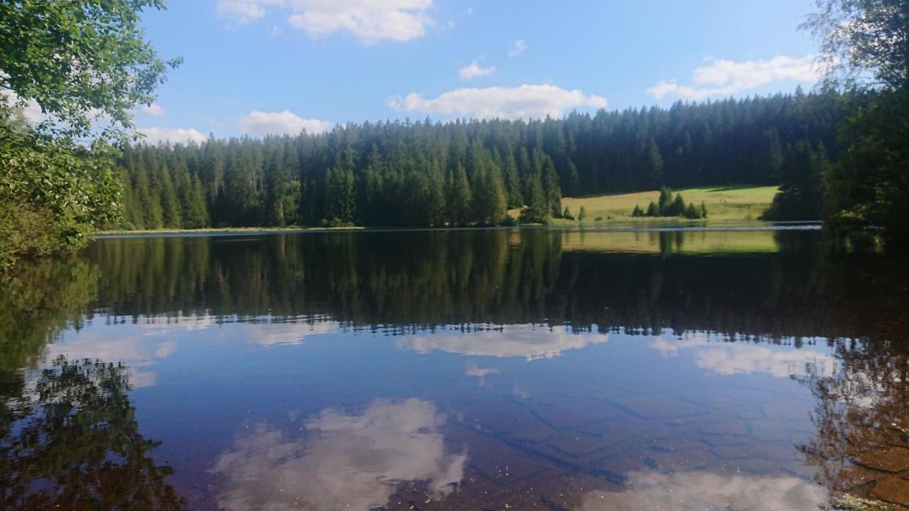 Apartmán NOVOHRADKY 22 Benesov nad Cernou Exteriér fotografie