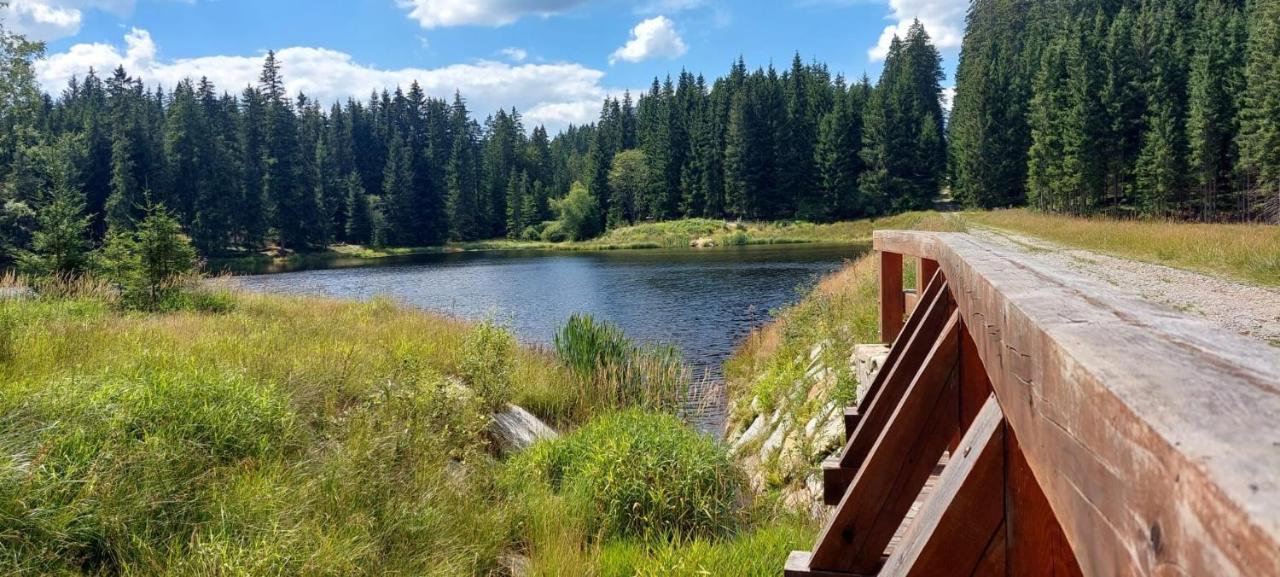 Apartmán NOVOHRADKY 22 Benesov nad Cernou Exteriér fotografie