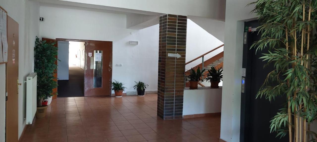 Apartmán NOVOHRADKY 22 Benesov nad Cernou Exteriér fotografie