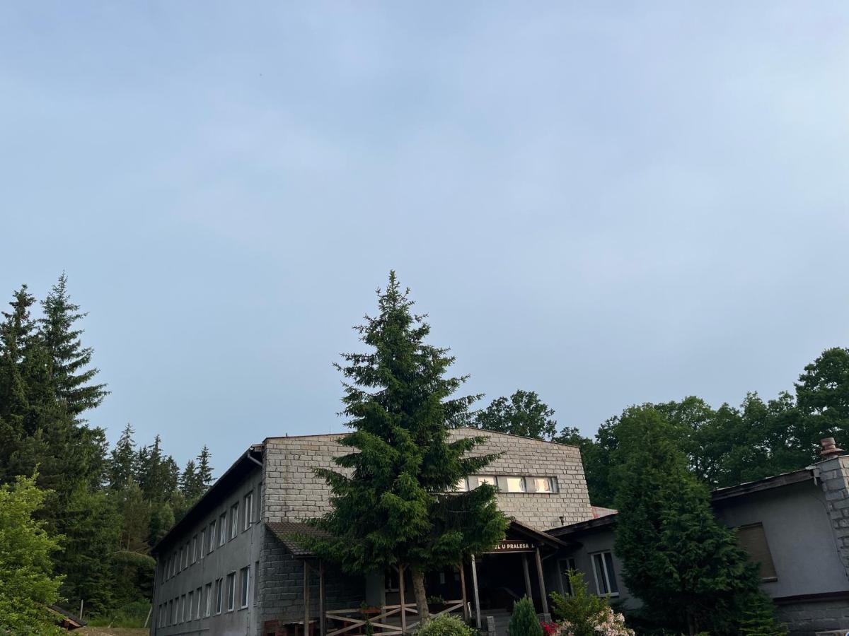 Apartmán NOVOHRADKY 22 Benesov nad Cernou Exteriér fotografie