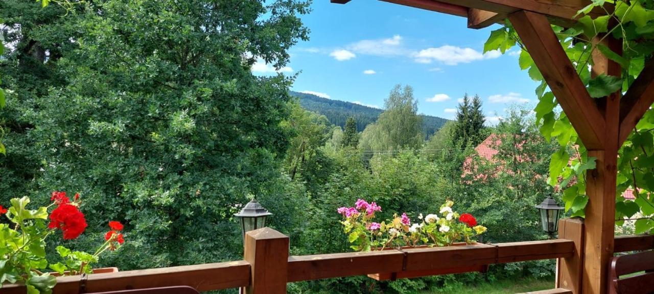 Apartmán NOVOHRADKY 22 Benesov nad Cernou Exteriér fotografie